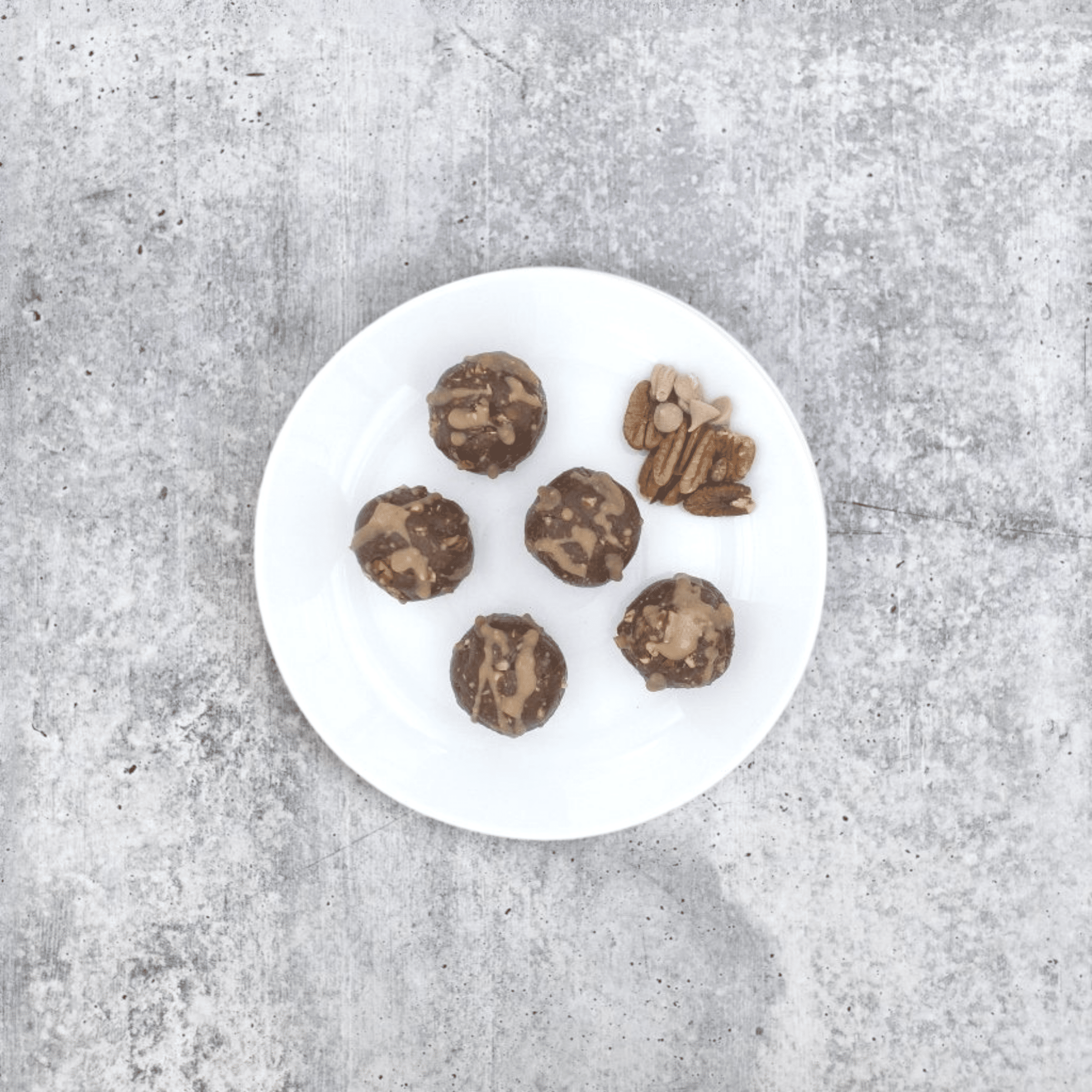 Performance Superfood Bites: Turbo Turtle & Cordyceps